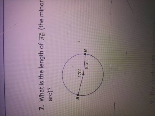 Geometry Question Please Help Please