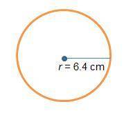 What is the circumference of the circle?use 3.14 for pi a.20.096 b.40.192 c.200.96 d.401.92 plsss he