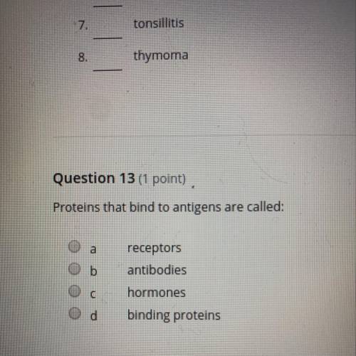 Proteins that bind to antigens are called?