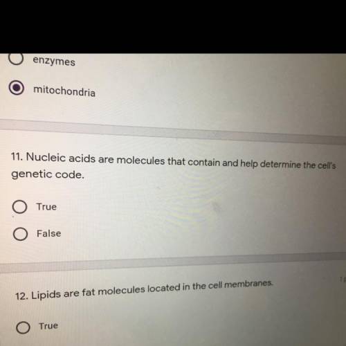 Nucleic acids are molecules that contain and help determine the cells genetic code. True or false.