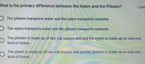 What is the primary difference between the Xylem and the Phloem?