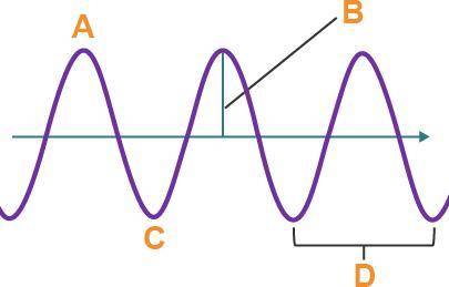 Study the diagram. Point C identifies the _____ of the wave.