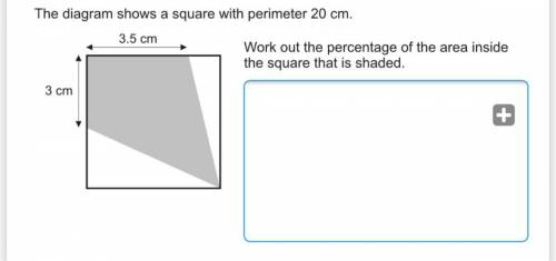 The diagram shows a square with perimeter 20cm.work out the percentage of the area inside the square
