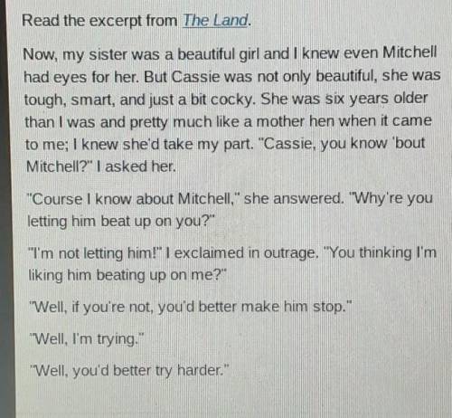 Based on Pauls description of Cassie, what is the most likely reason she tells him to handle Mitchel