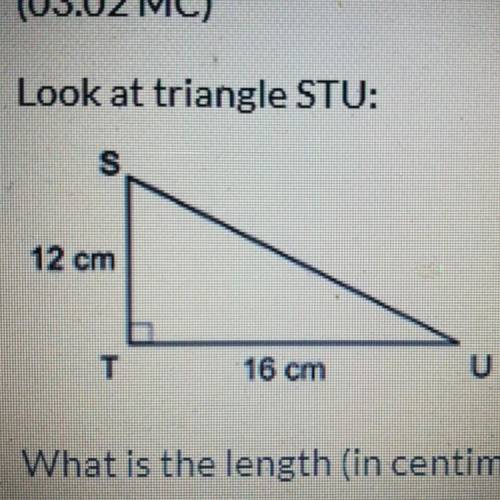 Look at triangle STU What is the length (in centimeters) of side SU of the triangle  20 22 24 28