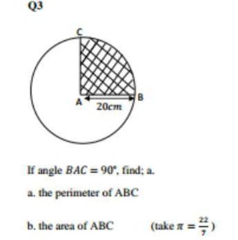 Help me please with this work