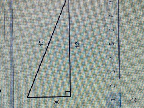 Does anyone know the value of x