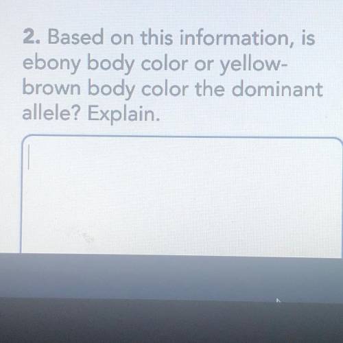 Help me on this question plz