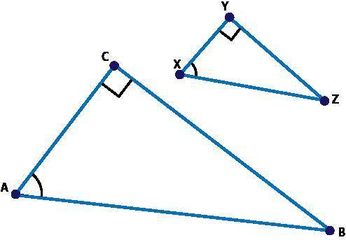 I REALLY NEED HELP Triangle XYZ was dilated by a scale factor of 2 to create triangle ACB and sin ∠X