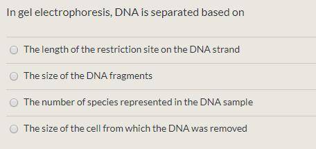 Bio questions about Biotechnology. (2)