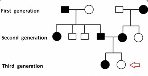 Question: Look at the pedigree shown below.  a) Based on the pattern of inheritance, is this a domin