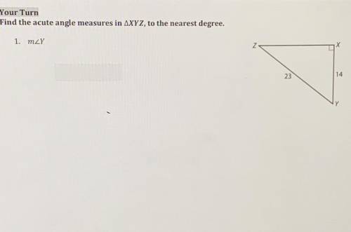 Find the acute angle measures in triangle XYZ, to the nearest degree.