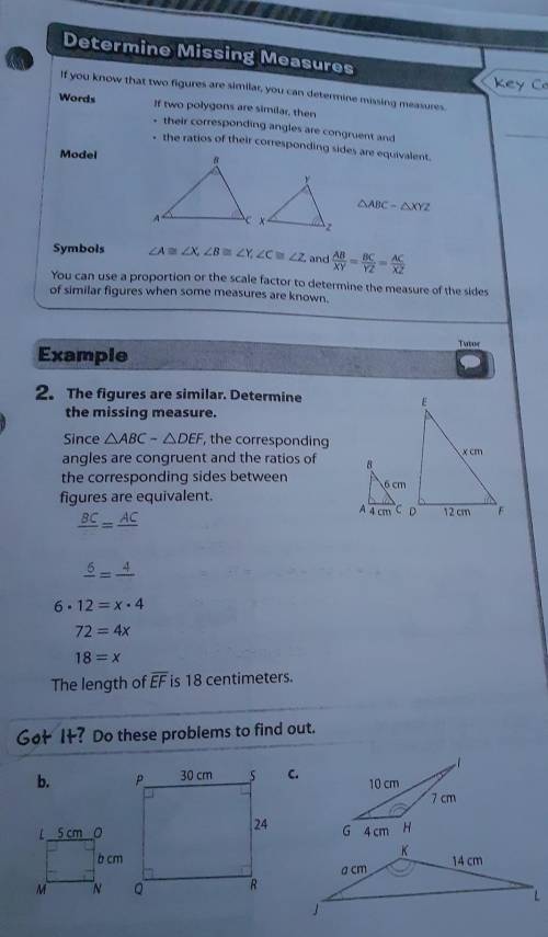 Can someone plz help me with this ? 10 pts