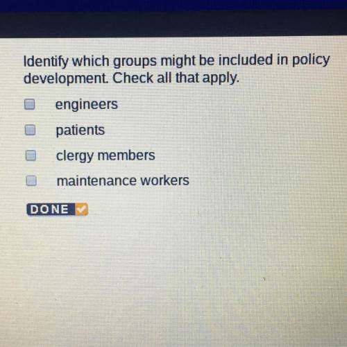 Identify which groups might be included in policy development. Check all that apply. -engineers -pa