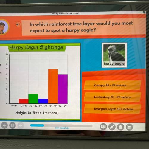 In which rainforest tree layer would you most expect to spot a harpy eagle?