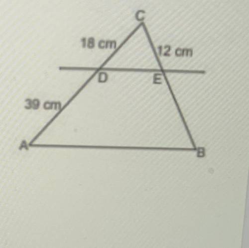 In the figure shown below,  DE || AB. What is the length of BE? A. 24cm B. 26 cm C. 33 cm D. 36 cm