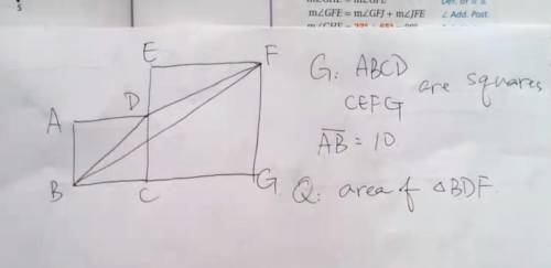 Find the area of triangle BDF. (Please have a step-by-step solution)