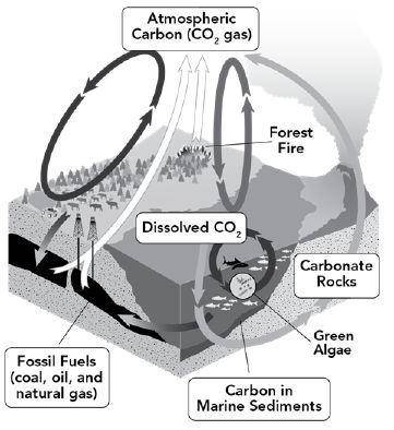 The carbon cycle involves a variety of processes that move and convert carbon between Earth systems