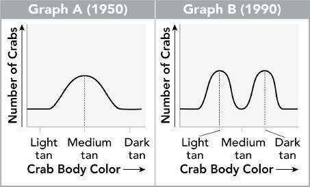 The graphs below show the changes in crab color at one beach.

Which statement best explains the c