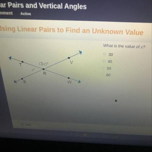 What is the value of x?