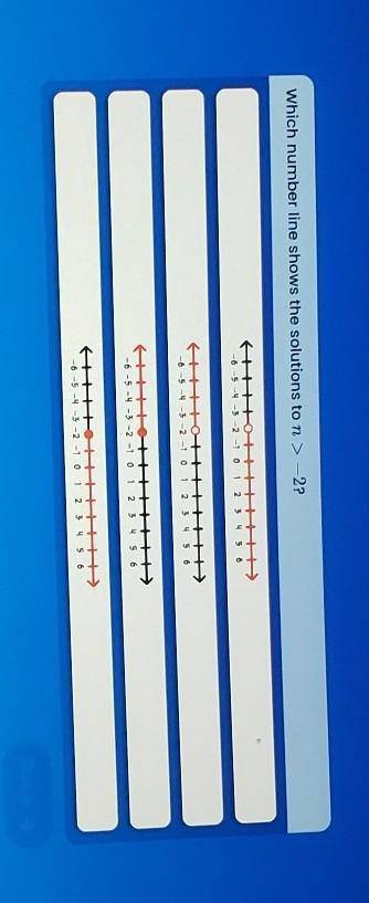 Which number line shows the solution to n > -2