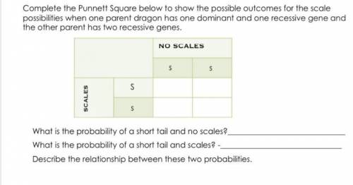 Pls help me we are doing probability and I suck I don't understand how to figure this out.