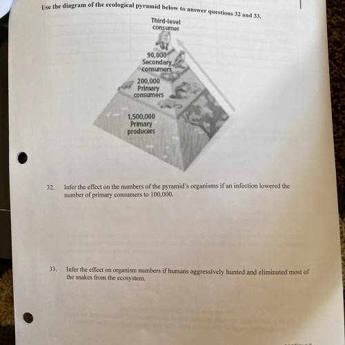 Please at least answer one of them

Infer the effect on the numbers of the pyramid's organisms if