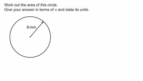Give my answer in terms of pi and state it's units
