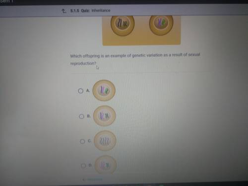 The diagram shows two parent cells with chromosomes.