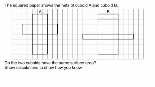 a squared paper shows the nets of cuboid A and cuboid B. do the two cuboids have the same surface a