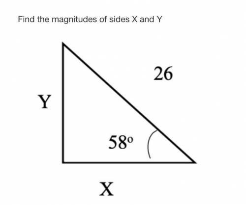 Find the magnitudes of sides x and y.