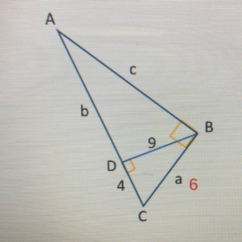 Using the geometric mean and Pythagorean theorem, calculate the values of the missing sides. Round