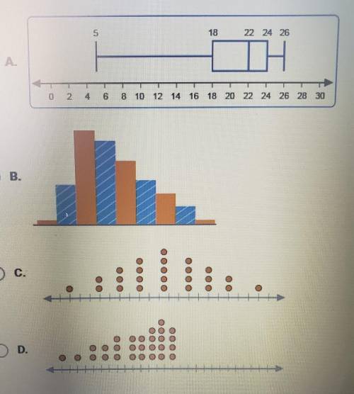 Which distribution is positively skewed?