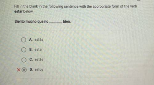 Help with spanish asap! please and thank you. The answers with the red X is not correct answer.