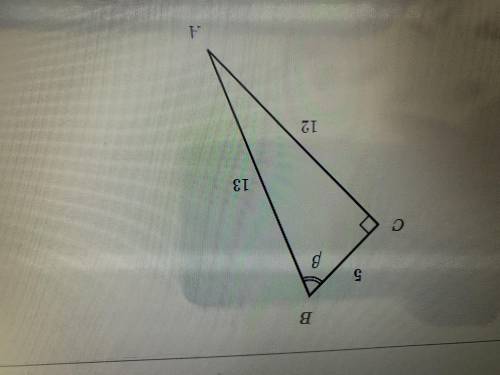 Find sin(beta) in the triangle. choose 1