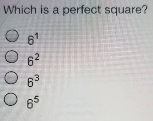 PLEASE HURRY!⚠️Which is a perfect square?