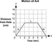 The distance, y, in centimeters, of an ant from a hole in the tree for a certain amount of time, x,