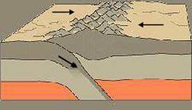 What plate activity is occurring in the picture?