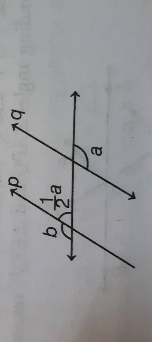 In the given figure if p||q what is the value of b?