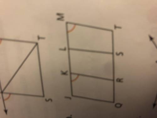 Which lines or segments are parallel?