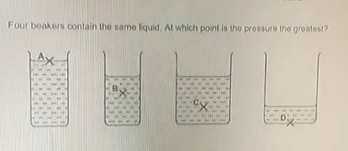 Is the answer C or B