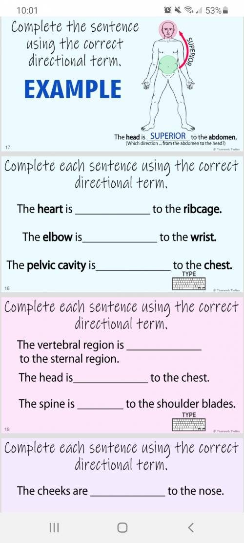 Complete each sentence using the correct directional term. PLEASE HELP