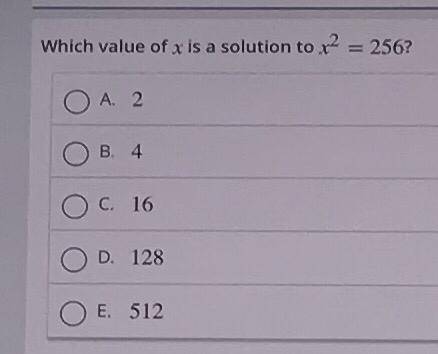 What is the answer? Please help