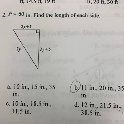 2. P= 60 in. Find the length of each side.
2y + 1
|3y+5
HELP
