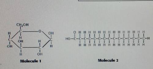 Refer to the ilistration above. Molecules like molecule 2 are found in

a. lipids b.carbohydrates
