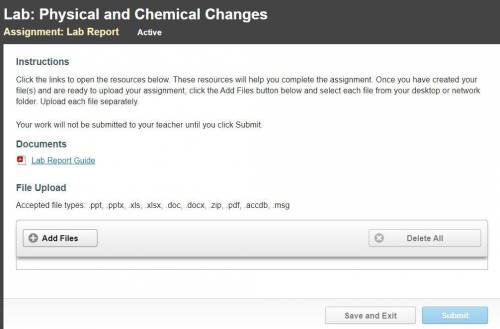 Please someone help with Lab: Physical and Chemical Changes.
