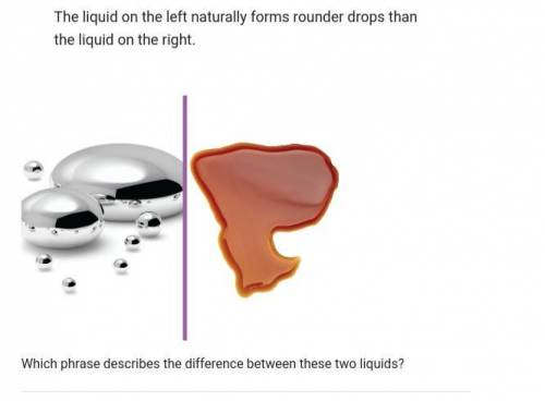 Science / which phrase describes the differences between these two liquid ?