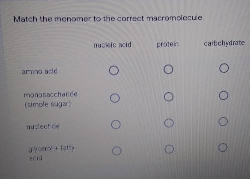 Match the monomer to the correct macromolecule