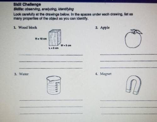 Skill Challenge Skills: observing, analyzing, identifying Look carefully at the drawings below. In