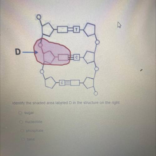 Plz help me with this test due